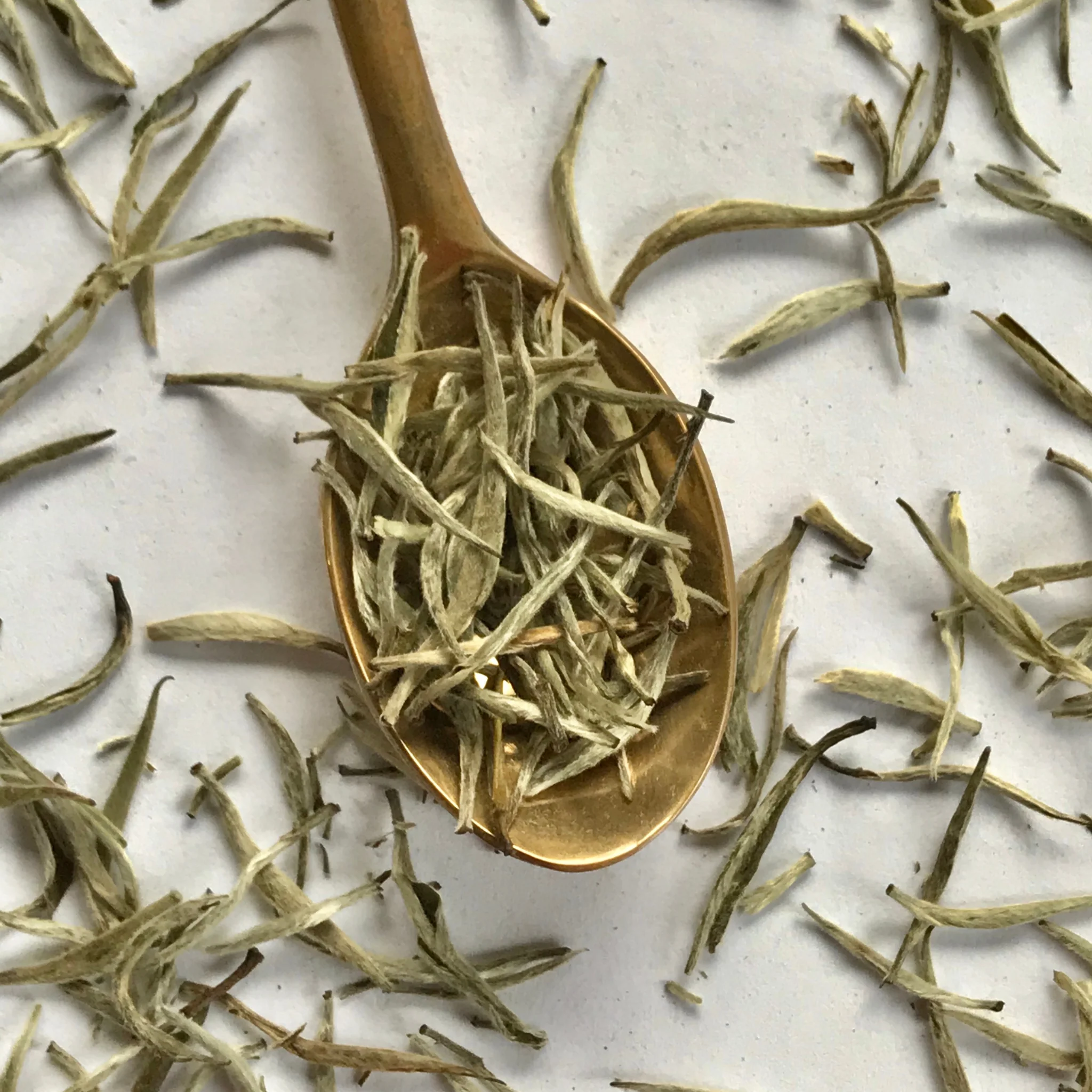 WhiteTeaGinger_2 WhiteTeaGinger_2