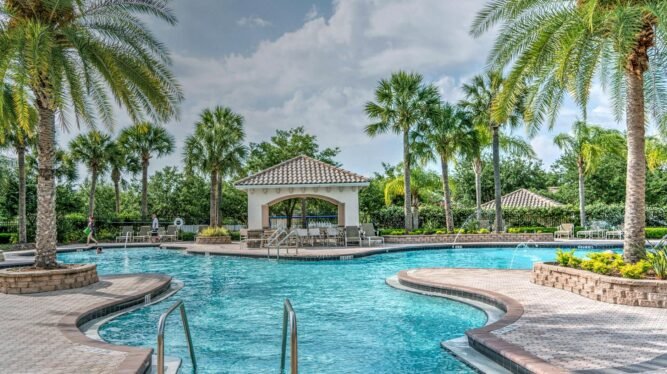 palm tree planted near pool