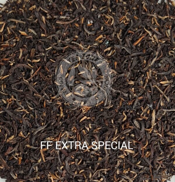 FF Extra Special