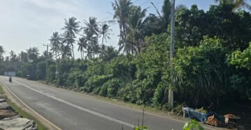 Beach Front Land (1)