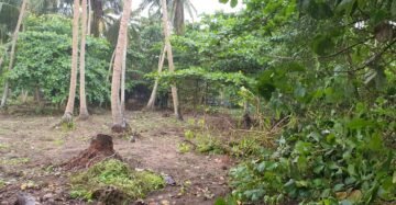 Beach Front Land (5)