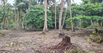 Beach Front Land (6)