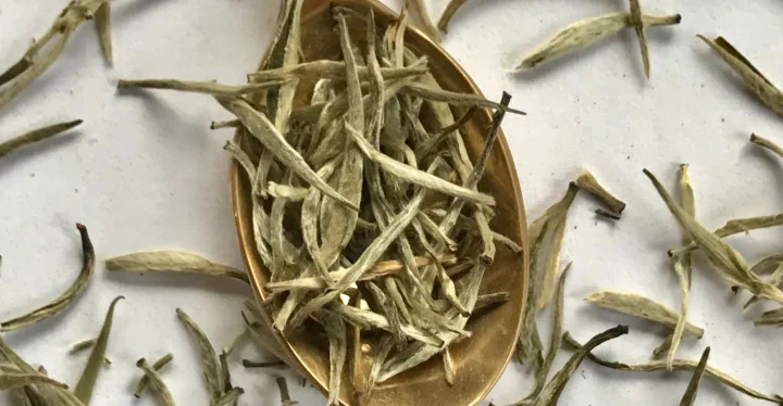 WhiteTeaGinger_2 WhiteTeaGinger_2